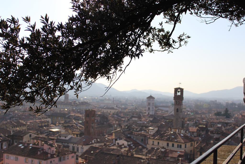 La Terrazza Da Ernestina Apartment Lucca Luaran gambar